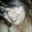 Photo of Sharon G.