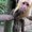 Photo of Monkey M.