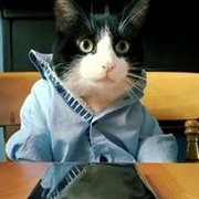 google avatar