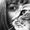 Photo of Ghazal A.