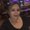 Photo of Linda M.