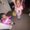 Photo of Brionna L.
