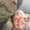 Photo of Caryn S.