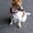Photo of Qype User (Gastro…)