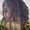 Photo of Amanda T.