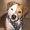 Photo of Sharla O.