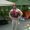 Photo of Kevin P.