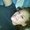 Photo of Benita C.