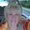Photo of Carol S.