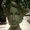Photo of Mary S.