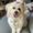 Photo of Fifi R.