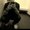 Photo of Davin P.