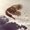Photo of Icarus R.