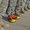 Photo of Clown S.