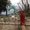 Photo of Mattie M.