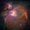 Photo of Orion S.