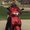Photo of Brad S.
