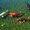 Photo of The D.