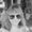 Photo of Charlene W.