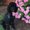 Photo of Jamila B.