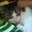 Photo of Sunae K.