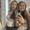 Photo of Fabi
