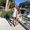 Photo of Danielle M.