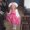 Photo of Phyllis B.