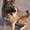 Photo of Kuma S.
