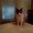 Photo of Luci D.