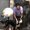 Photo of Arjun B.