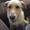 Photo of Ashlie E.