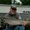 Photo of Mike S.