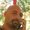 Photo of Mark H.