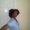 Photo of Keisha D.