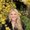 Photo of Kaylee F.
