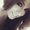 Photo of Natalie C.