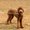 Photo of Marjani S.
