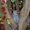 Photo of Danie T.