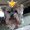 Photo of Cheri G.