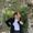 Photo of VeroNika L.