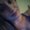 Photo of Skylar K.