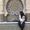 Photo of Rebeca P.