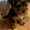 Photo of Mindy S.