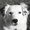 Photo of Brye L.