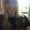 Photo of Ragail S.