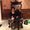 Photo of Kimberly S.