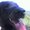 Photo of Toonces E.