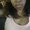 Photo of Ashley E.