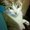 Photo of Debbie H.